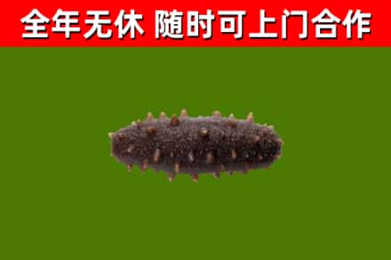 南湖区烟酒回收干海参.jpg